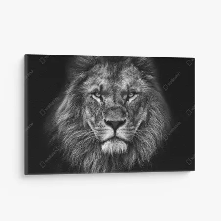 Cuadro en lienzo retrato majestuoso de león en blanco y negro – Pixers®
