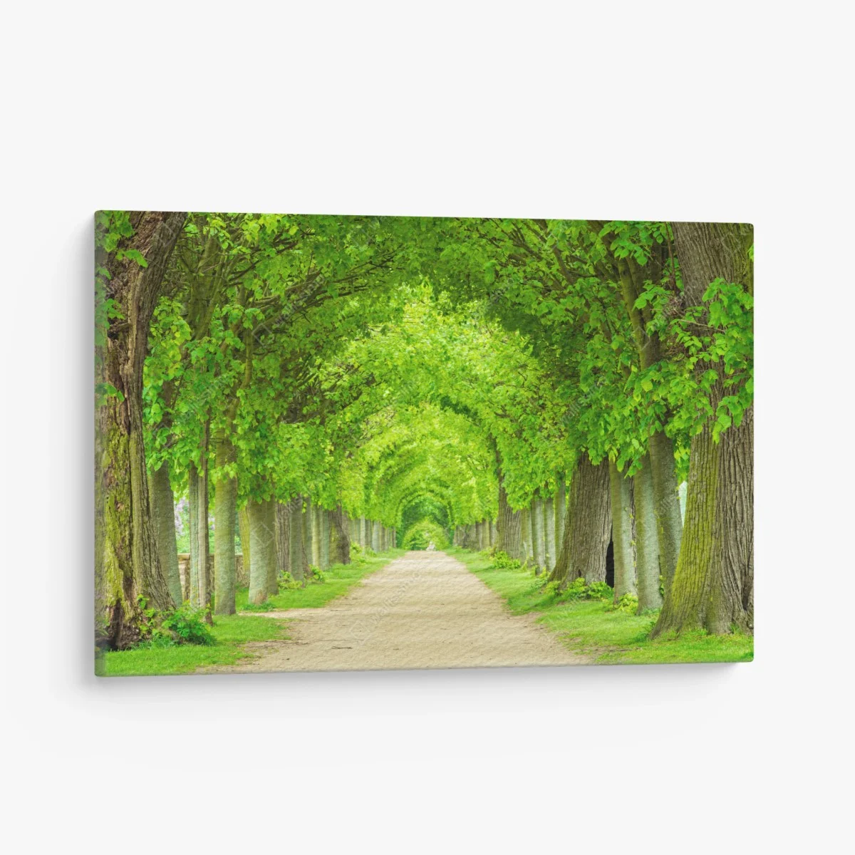Cuadro en lienzo túnel verde de árboles en perspectiva – Pixers® Cuadro en lienzo túnel verde de árboles en perspectiva – Pixers®