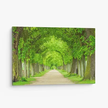 Cuadro en lienzo túnel verde de árboles en perspectiva – Pixers®