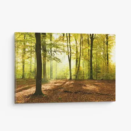 Cuadro en lienzo amanecer otoñal en el bosque dorado – Pixers®