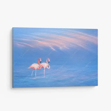 Cuadro en lienzo pareja de flamencos sobre agua azul al atardecer – Pixers®