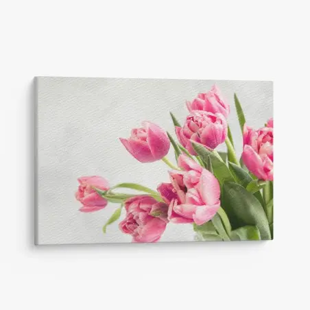 Cuadro en lienzo tulipanes rosas con gotas de rocío – Pixers®