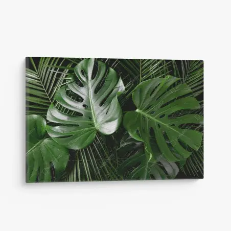 Cuadro en lienzo composición de hojas tropicales verdes – Pixers®