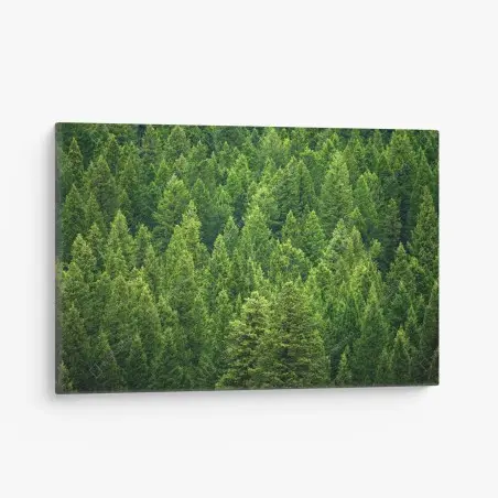 Cuadro en lienzo bosque de pinos en verde esmeralda – Pixers®