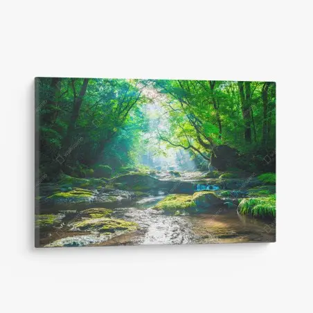 Cuadro en lienzo bosque luminoso junto al río – Pixers®