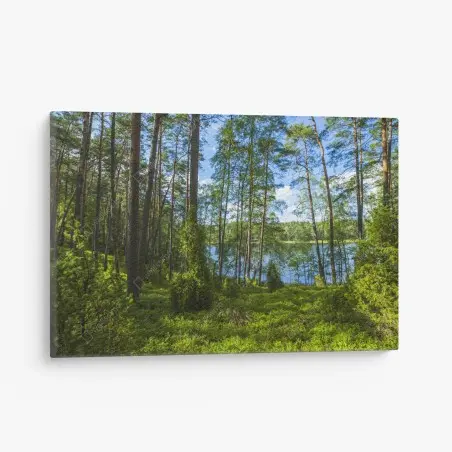 Cuadro en lienzo bosque de pinos junto al lago – Pixers®