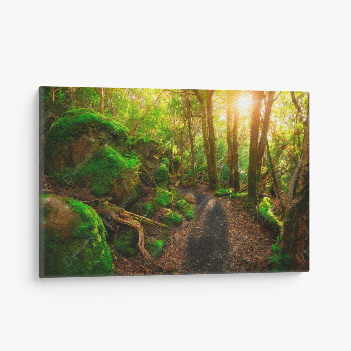 Cuadro en lienzo sendero jurásico en Tasmania – Pixers®