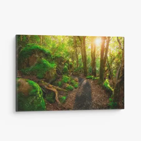 Cuadro en lienzo sendero jurásico en Tasmania – Pixers®