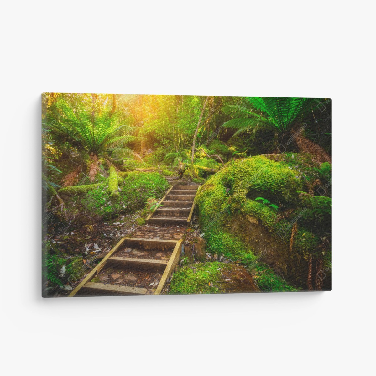 Cuadro en lienzo sendero jurásico en la península de Tasman, Tasmania – Pixers®