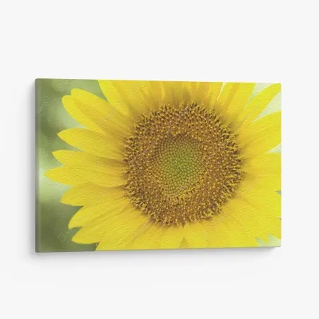 Cuadro en lienzo girasol luminoso en primer plano – Pixers®