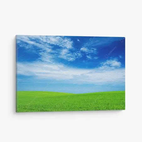 Cuadro en lienzo pradera verde bajo cielo azul brillante – Pixers®