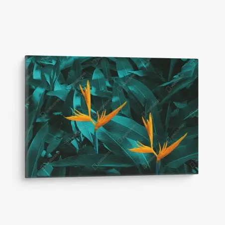 Cuadro en lienzo flores tropicales ave del paraíso sobre follaje esmeralda – Pixers®