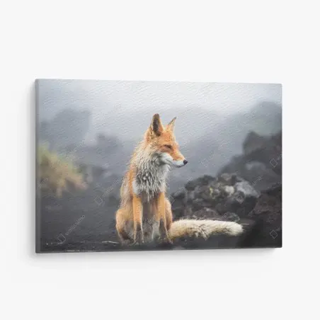 Cuadro en lienzo zorro entre la niebla – Pixers®