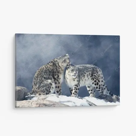 Cuadro en lienzo pareja de leopardos de las nieves en paisaje invernal – Pixers®