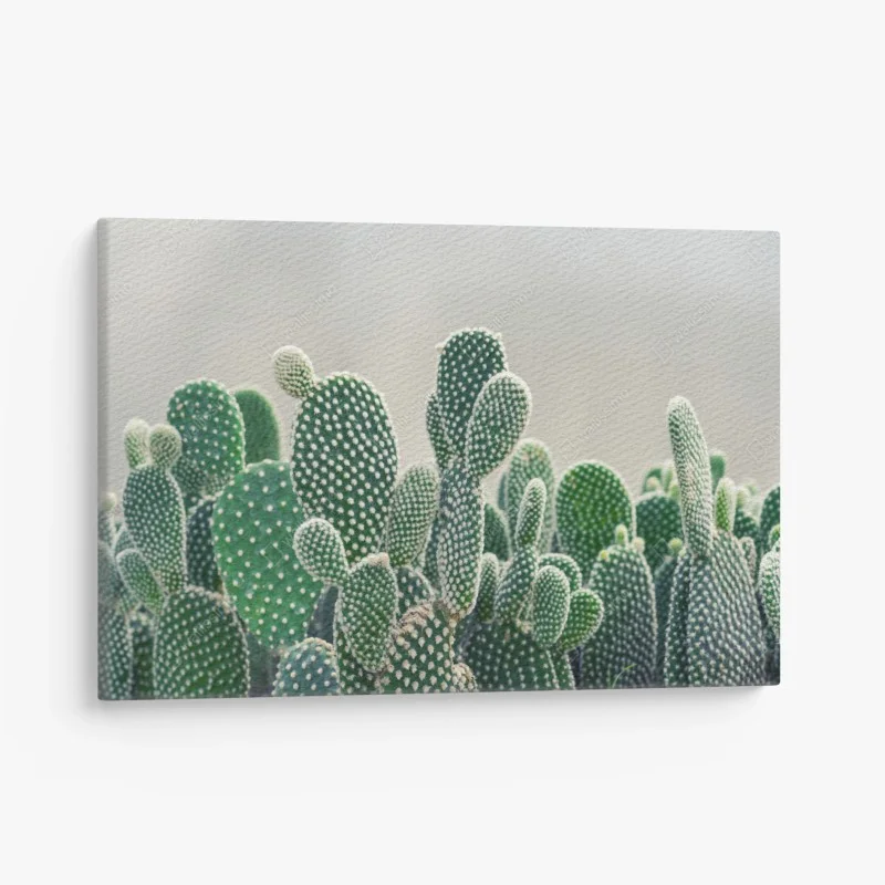 Cuadro en lienzo cactus opuntia en primer plano para decoración