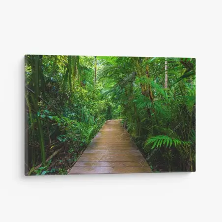 Cuadro en lienzo pasarela en manglar: paseo entre verdes – Pixers®