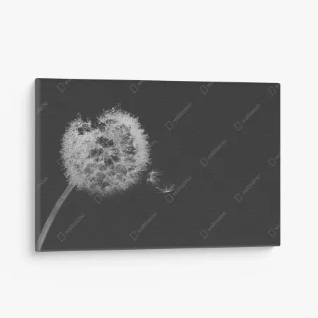 Cuadro en lienzo susurro de diente de león en blanco y negro – Pixers®