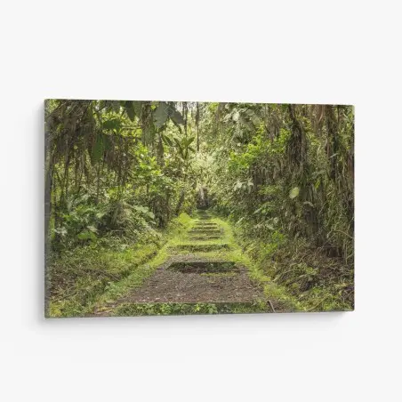 Cuadro en lienzo sendero entre la selva tropical – Pixers®