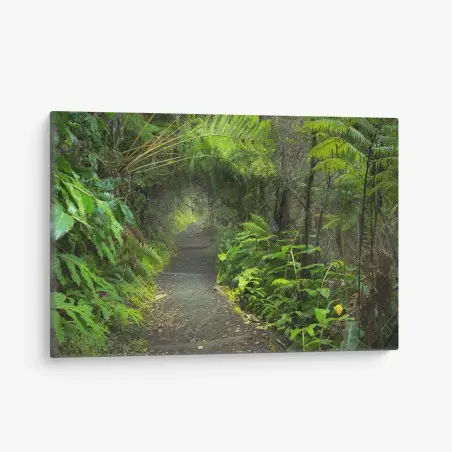 Cuadro en lienzo sendero del bosque lluvioso en Kilauea Iki – Pixers®
