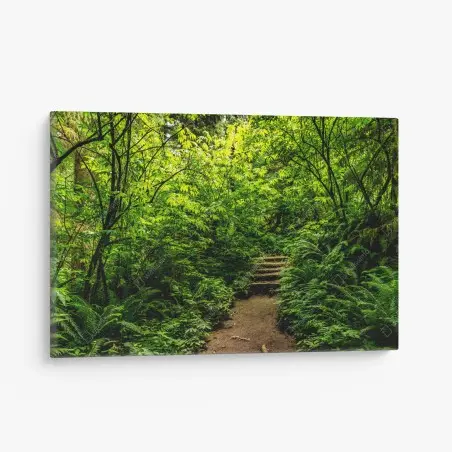 Cuadro en lienzo sendero entre helechos en bosque verde – Pixers®