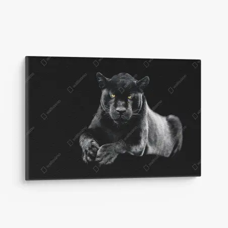 Cuadro en lienzo mirada intensa de la pantera negra – Pixers®