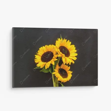 Cuadro en lienzo girasoles sobre fondo negro – Pixers®