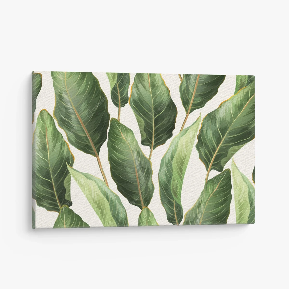 Cuadro en lienzo fondo de hojas tropicales en tonos verdes – Pixers® Cuadro en lienzo fondo de hojas tropicales en tonos verdes – Pixers®