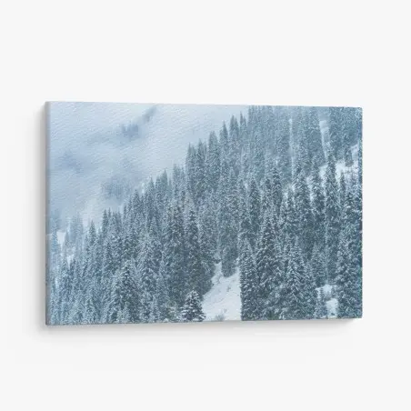 Cuadro en lienzo bosque de pinos nevados en montaña neblinosa – Pixers®