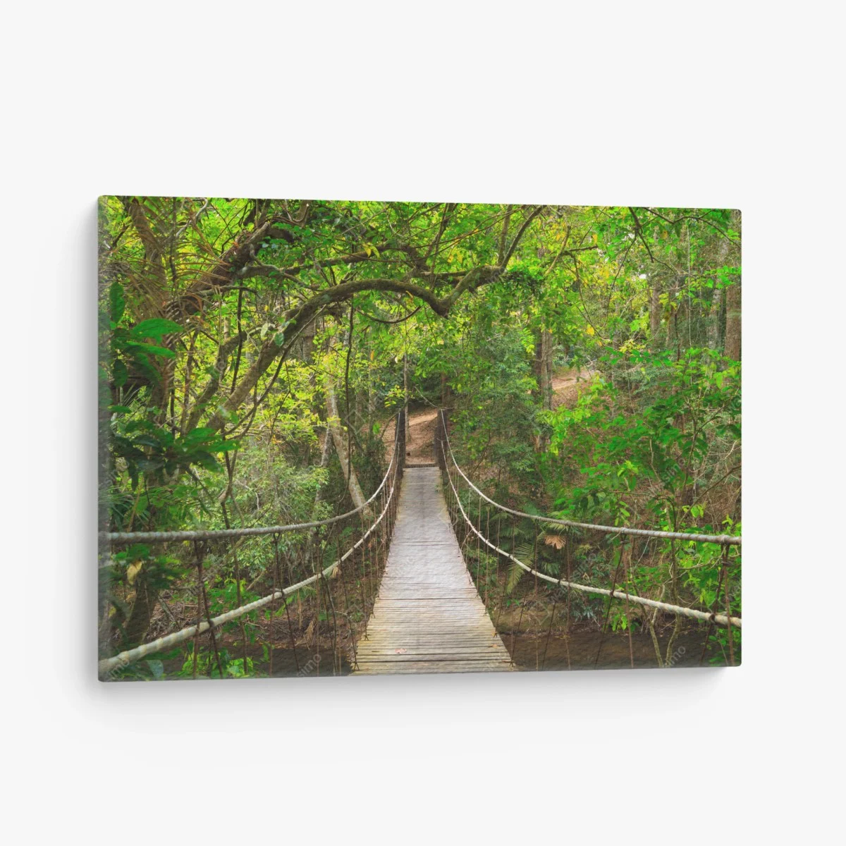 Cuadro en lienzo pasarela de madera en bosque frondoso – Pixers® Cuadro en lienzo pasarela de madera en bosque frondoso – Pixers®