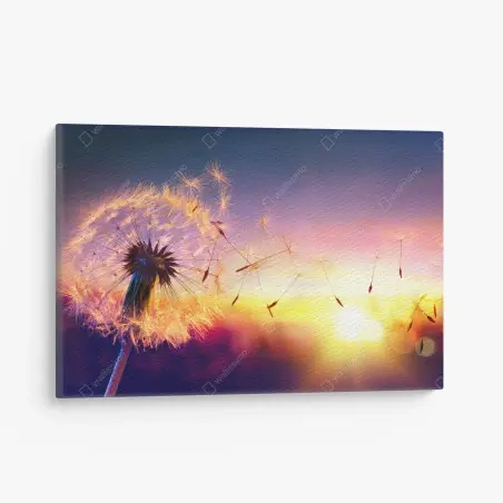Cuadro en lienzo diente de león al viento en atardecer dorado – Pixers®