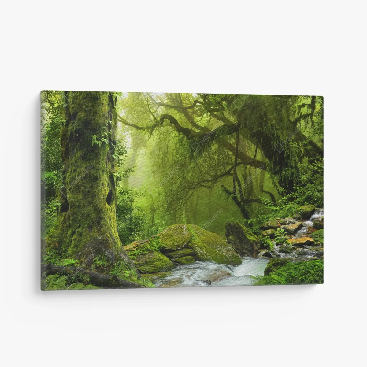 Cuadro en lienzo remanso verde en bosque húmedo – Pixers® Cuadro en lienzo remanso verde en bosque húmedo – Pixers®
