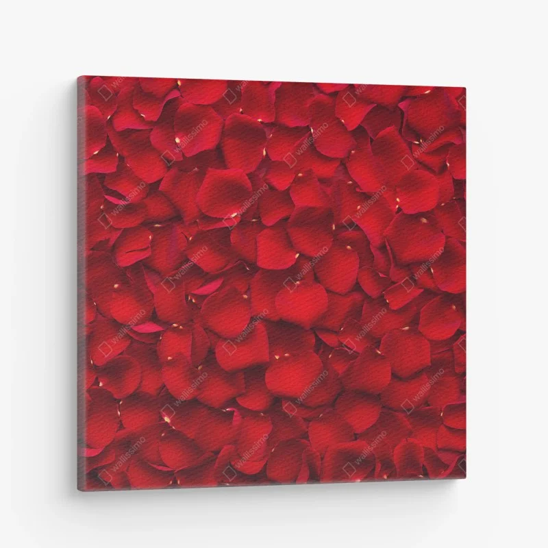 Cuadro en lienzo arte decorativo de pétalos de rosa rojos