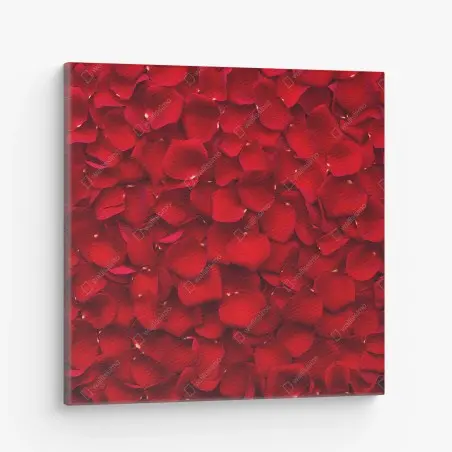 Cuadro en lienzo arte decorativo de pétalos de rosa rojos – Pixers®