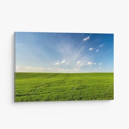 Cuadro en lienzo panorama de campo verde en primavera – Pixers®