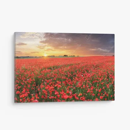 Cuadro en lienzo atardecer sobre campo de amapolas – Pixers®