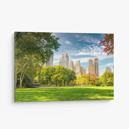 Cuadro en lienzo brisa otoñal en Central Park, Nueva York – Pixers®