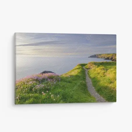 Cuadro en lienzo sendero costero en Ceibwr Bay al atardecer – Pixers®