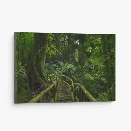 Cuadro en lienzo sendero verde en la selva tropical – Pixers®