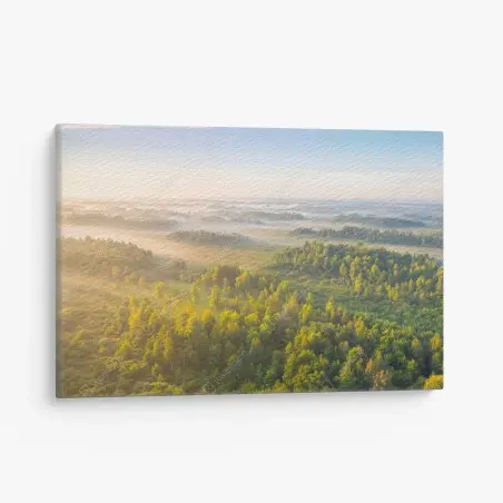Cuadro en lienzo amanecer brumoso en el humedal de Zvanets – Pixers®