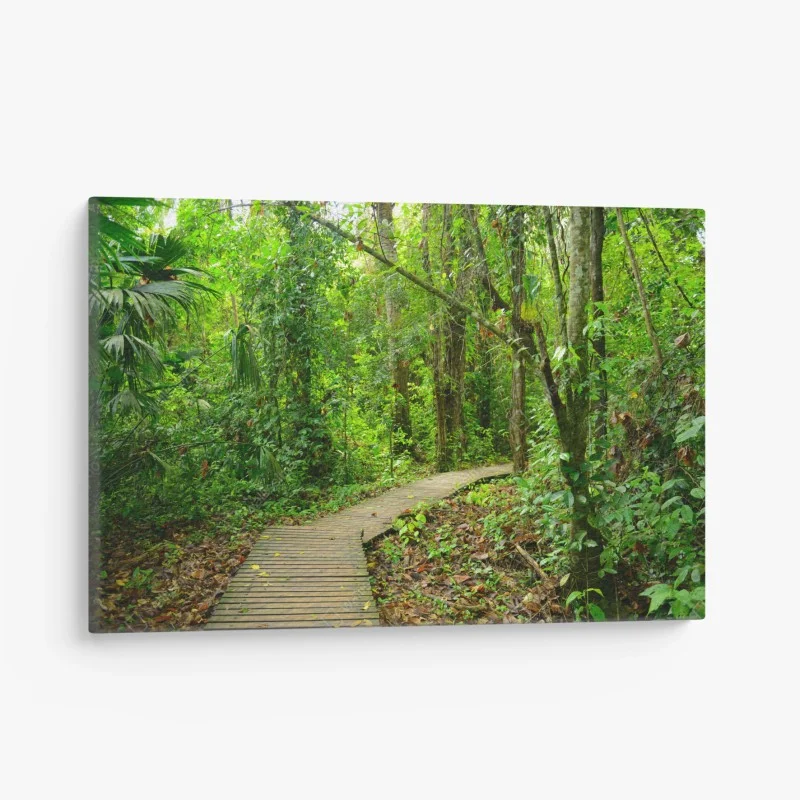 Cuadro en lienzo sendero entre la selva tropical