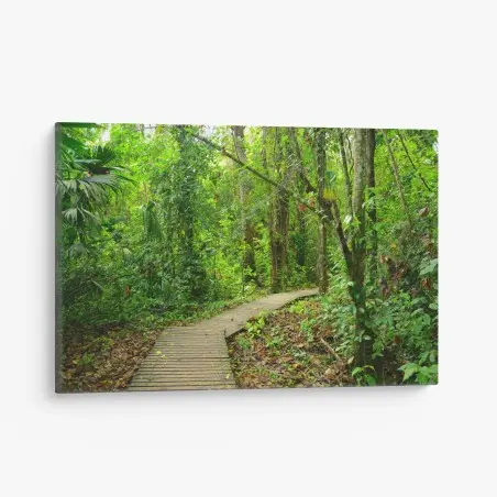 Cuadro en lienzo sendero entre la selva tropical – Pixers®