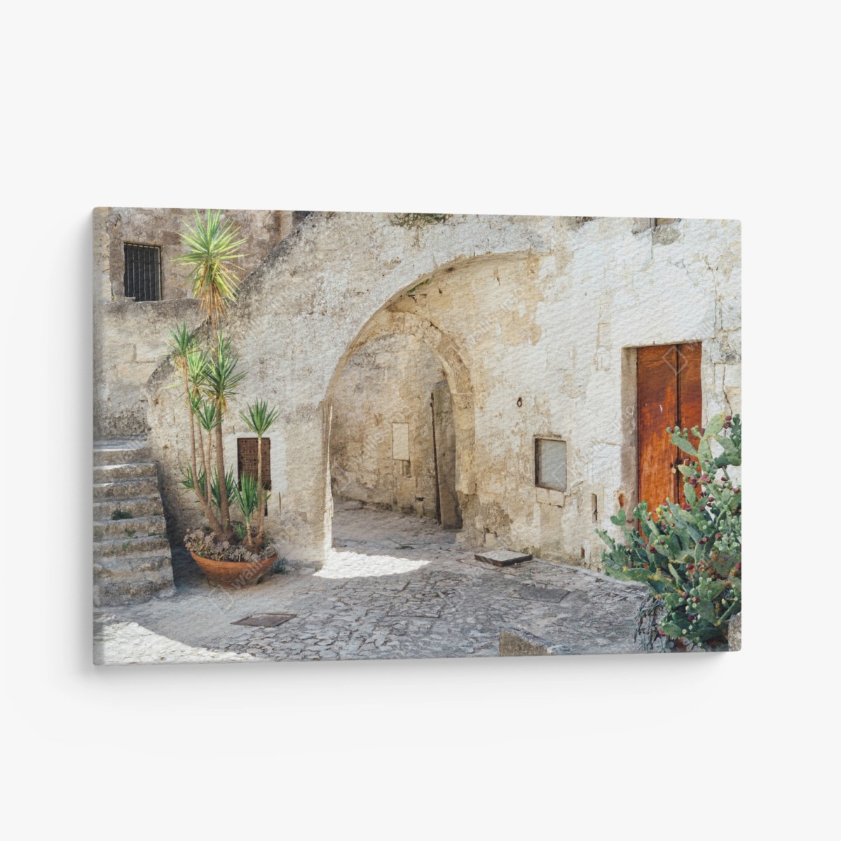 Cuadro en lienzo patio antiguo con arco y cactus – Pixers®