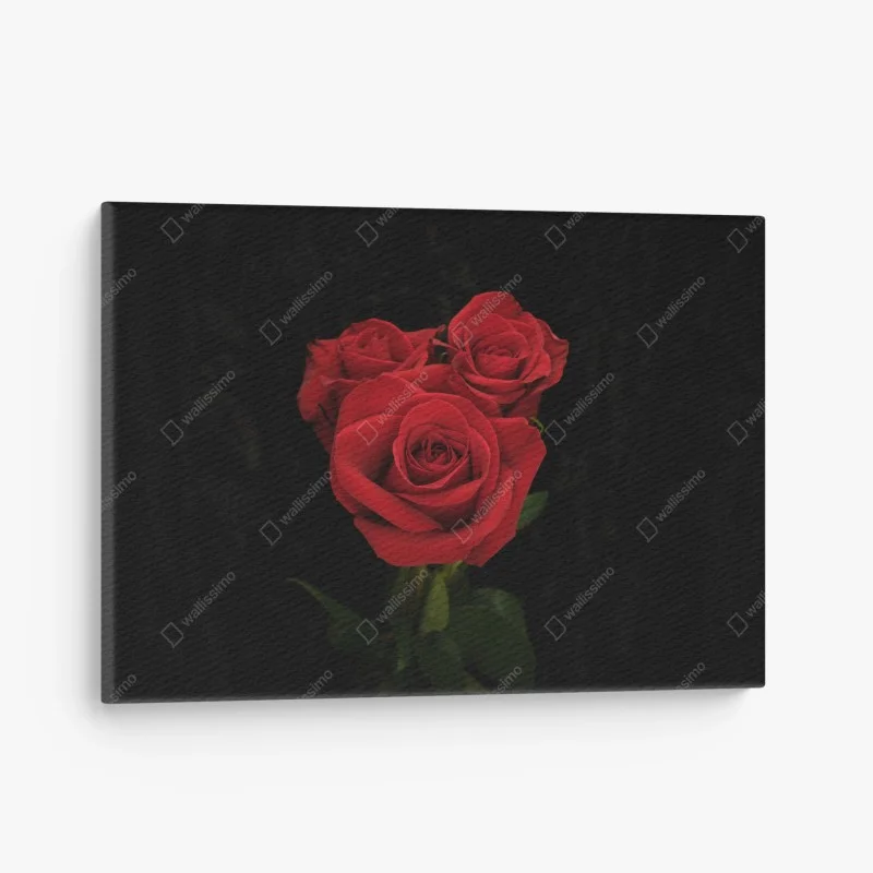 Cuadro en lienzo rosas rojas sobre fondo negro