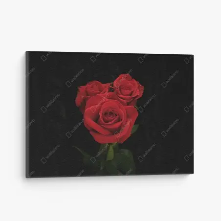 Cuadro en lienzo rosas rojas sobre fondo negro – Pixers®