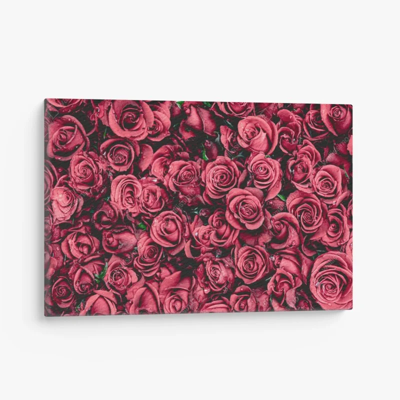 Cuadro en lienzo diseño de rosas rojas en detalle