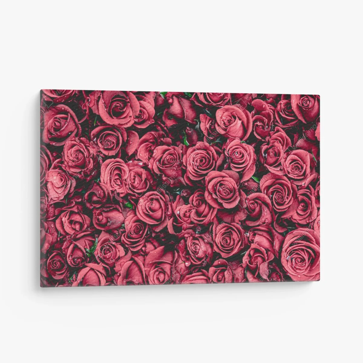 Cuadro en lienzo diseño de rosas rojas en detalle – Pixers® Cuadro en lienzo diseño de rosas rojas en detalle – Pixers®