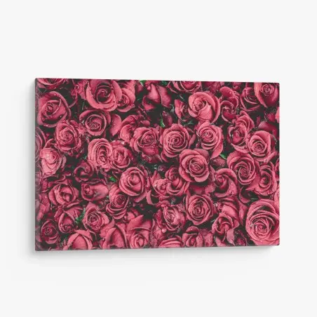 Cuadro en lienzo diseño de rosas rojas en detalle – Pixers®
