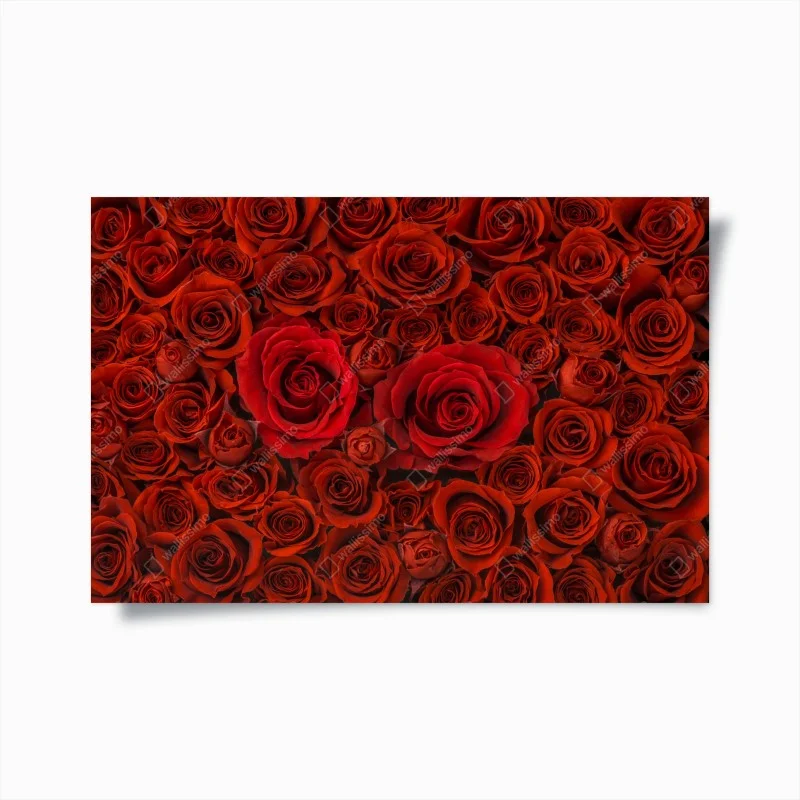 Póster composición de rosas rojas – Pixers® Póster composición de rosas rojas – Pixers®