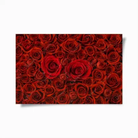 Póster composición de rosas rojas – Pixers®