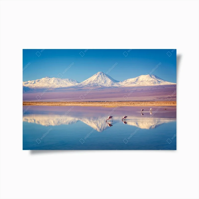 Póster reflejos del volcán Licancabur en la laguna Chaxa